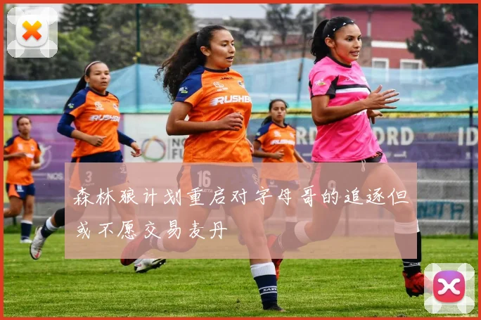森林狼计划重启对字母哥的追逐但或不愿交易麦丹