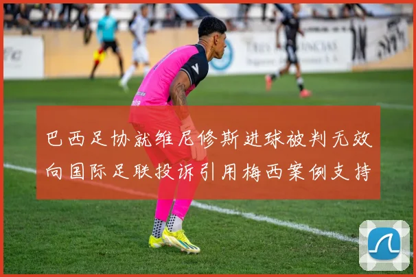 巴西足协就维尼修斯进球被判无效向国际足联投诉引用梅西案例支持